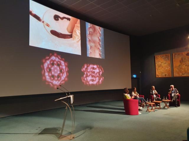 7m比分足球即时比分-体育界当心：这种40倍超级兴奋剂，8小时可逃药检