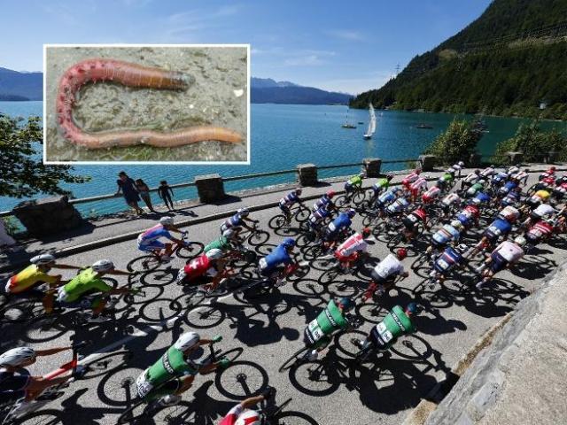 7m比分足球即时比分-体育界当心：这种40倍超级兴奋剂，8小时可逃药检